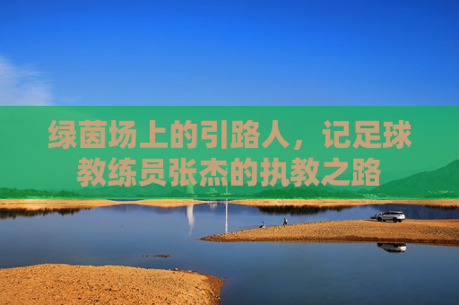 绿茵场上的引路人,记足球教练员张杰的执教之路