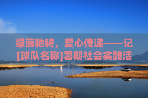 绿茵驰骋，爱心传递——记[球队名称]暑期社会实践活动