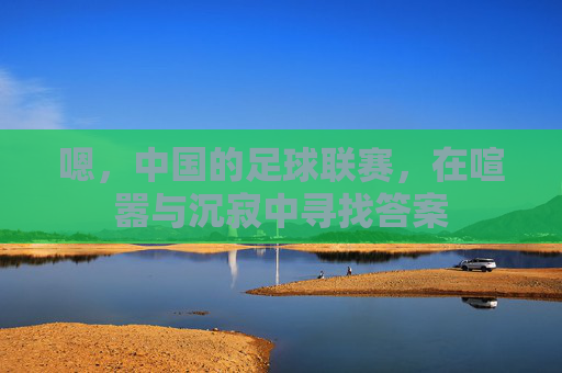 嗯,中国的足球联赛,在喧嚣与沉寂中寻找答案