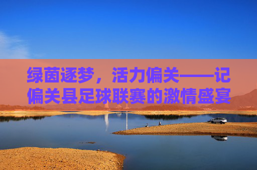 绿茵逐梦,活力偏关——记偏关县足球联赛的激情盛宴
