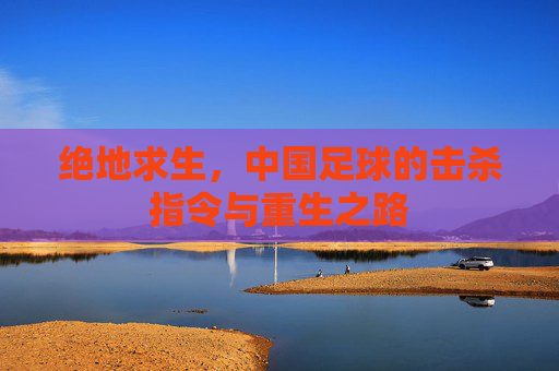 绝地求生,中国足球的击杀指令与重生之路
