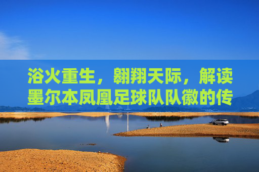 浴火重生,翱翔天际,解读墨尔本凤凰足球队队徽的传奇与象征