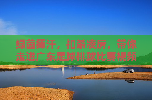 绿茵挥汗,扣杀凌厉,带你走进广东足球排球比赛视频的激情世界