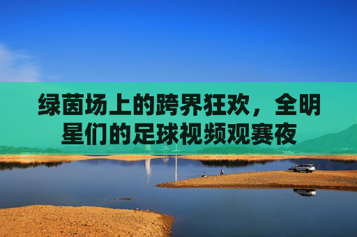 绿茵场上的跨界狂欢,全明星们的足球视频观赛夜