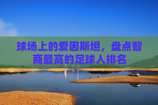 球场上的爱因斯坦,盘点智商最高的足球人排名