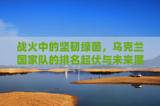 战火中的坚韧绿茵,乌克兰国家队的排名起伏与未来展望