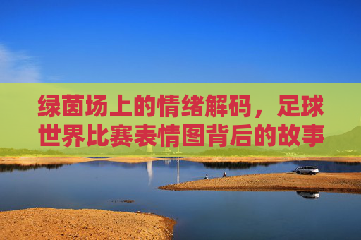 绿茵场上的情绪解码,足球世界比赛表情图背后的故事