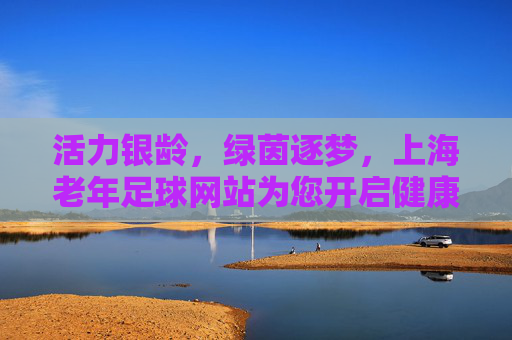 活力银龄,绿茵逐梦,上海老年足球网站为您开启健康晚年新篇章