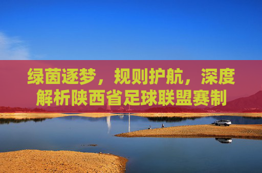 绿茵逐梦,规则护航,深度解析陕西省足球联盟赛制