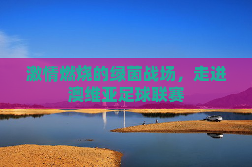 激情燃烧的绿茵战场,走进澳维亚足球联赛