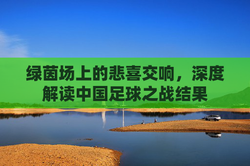 绿茵场上的悲喜交响,深度解读中国足球之战结果