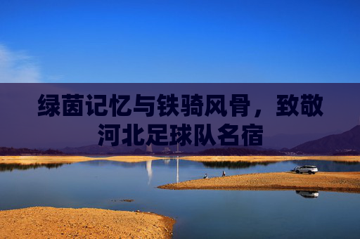 绿茵记忆与铁骑风骨,致敬河北足球队名宿