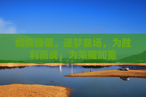 燃情绿茵,逐梦赛场,为胜利而战,为荣耀加冕