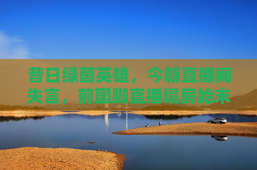 昔日绿茵英雄,今朝直播间失言,前国脚直播塌房始末
