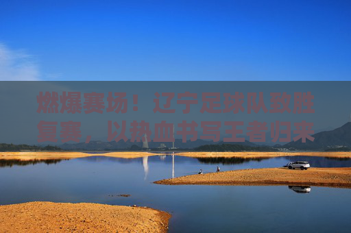 燃爆赛场!辽宁足球队致胜复赛,以热血书写王者归来