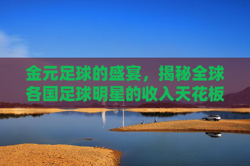 金元足球的盛宴,揭秘全球各国足球明星的收入天花板