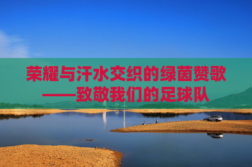 荣耀与汗水交织的绿茵赞歌——致敬我们的足球队