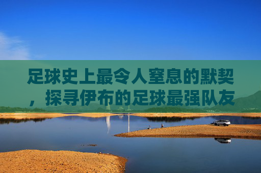 足球史上最令人窒息的默契，探寻伊布的足球最强队友