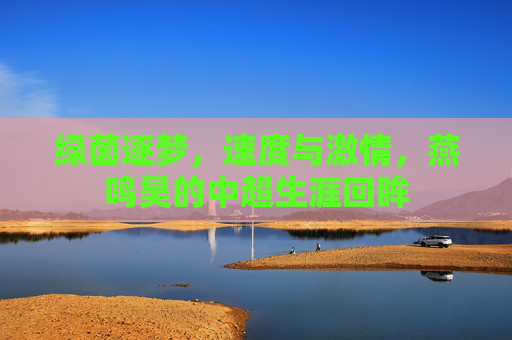 绿茵逐梦，速度与激情，燕鸣昊的中超生涯回眸