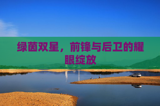 绿茵双星,前锋与后卫的耀眼绽放