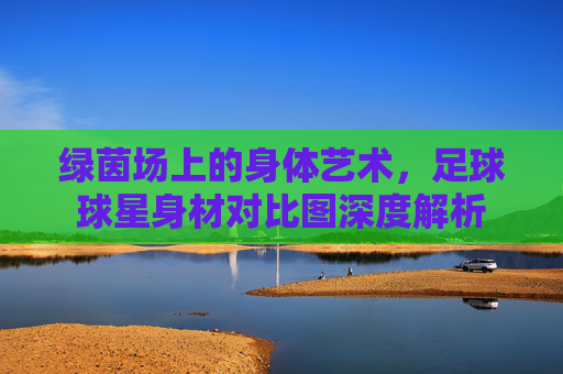 绿茵场上的身体艺术,足球球星身材对比图深度解析
