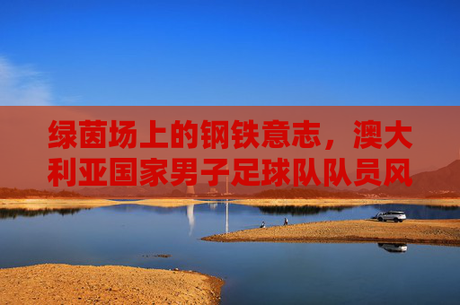 绿茵场上的钢铁意志,澳大利亚国家男子足球队队员风采