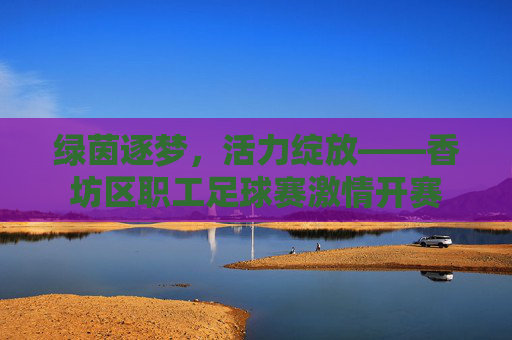 绿茵逐梦,活力绽放——香坊区职工足球赛激情开赛