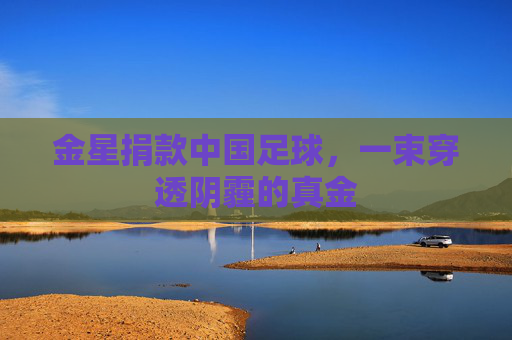 金星捐款中国足球,一束穿透阴霾的真金
