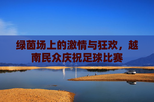 绿茵场上的激情与狂欢,越南民众庆祝足球比赛