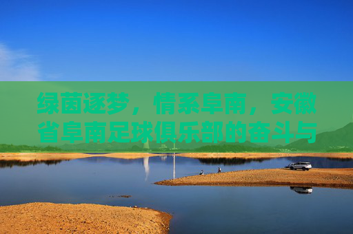 绿茵逐梦,情系阜南,安徽省阜南足球俱乐部的奋斗与荣光