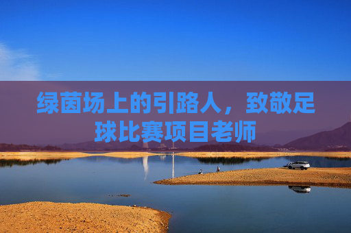 绿茵场上的引路人,致敬足球比赛项目老师