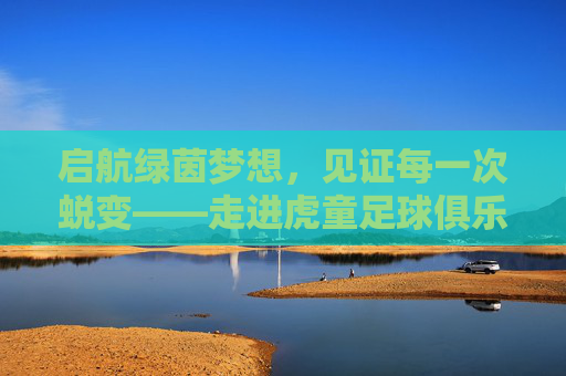 启航绿茵梦想，见证每一次蜕变——走进虎童足球俱乐部官网
