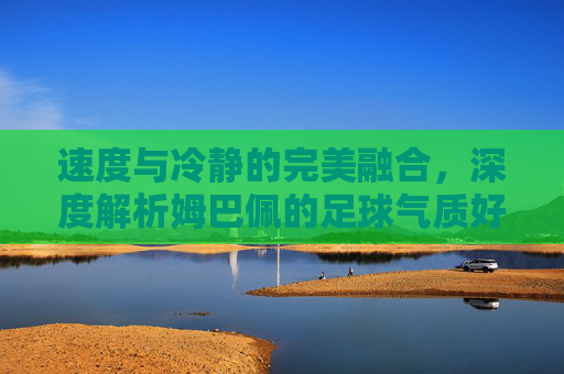 速度与冷静的完美融合,深度解析姆巴佩的足球气质好吗?