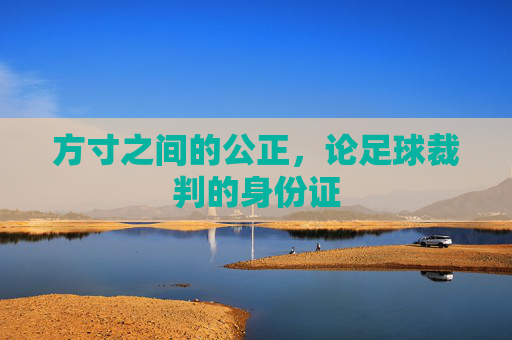 方寸之间的公正,论足球裁判的身份证