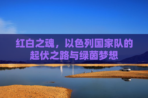 红白之魂,以色列国家队的起伏之路与绿茵梦想