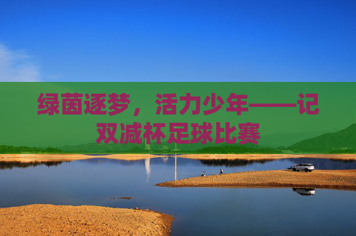绿茵逐梦，活力少年——记双减杯足球比赛
