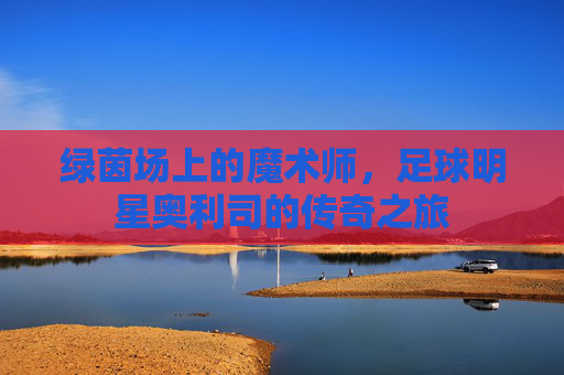 绿茵场上的魔术师,足球明星奥利司的传奇之旅