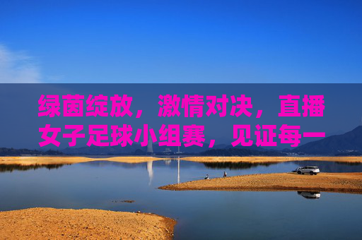 绿茵绽放,激情对决,直播女子足球小组赛,见证每一刻荣耀与汗水