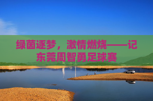 绿茵逐梦,激情燃烧——记东莞周智勇足球赛