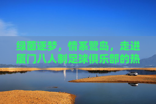 绿茵逐梦,情系鹭岛,走进厦门八人制足球俱乐部的热血世界