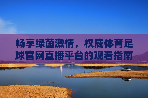 畅享绿茵激情,权威体育足球官网直播平台的观看指南与体验