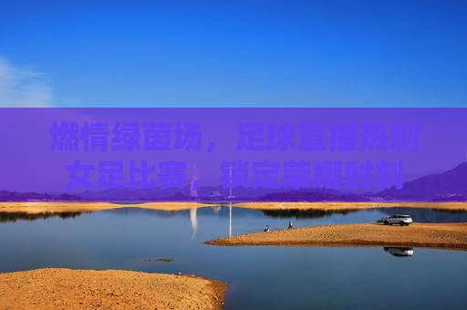 燃情绿茵场,足球直播热刺女足比赛,锁定荣耀时刻