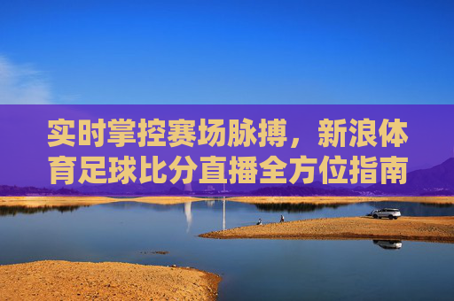 实时掌控赛场脉搏,新浪体育足球比分直播全方位指南
