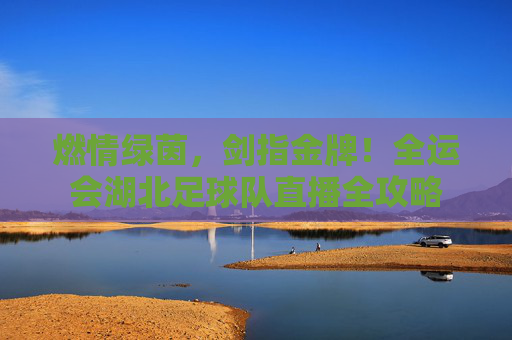 燃情绿茵,剑指金牌!全运会湖北足球队直播全攻略