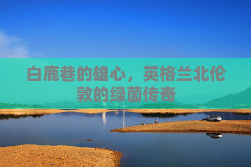 白鹿巷的雄心,英格兰北伦敦的绿茵传奇