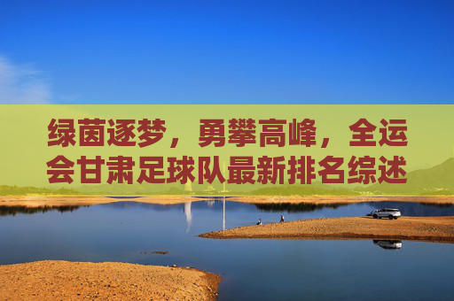 绿茵逐梦,勇攀高峰,全运会甘肃足球队最新排名综述