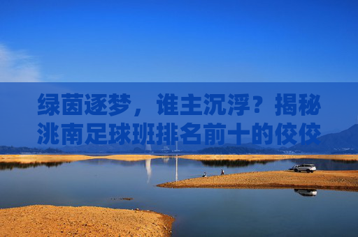 绿茵逐梦，谁主沉浮？揭秘洮南足球班排名前十的佼佼者