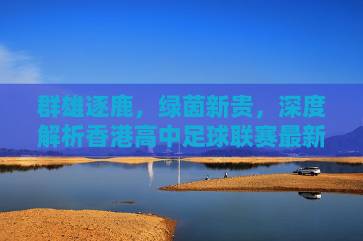 群雄逐鹿,绿茵新贵,深度解析香港高中足球联赛最新排名与格局