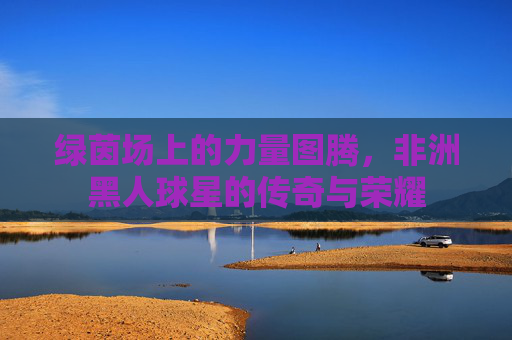绿茵场上的力量图腾,非洲黑人球星的传奇与荣耀
