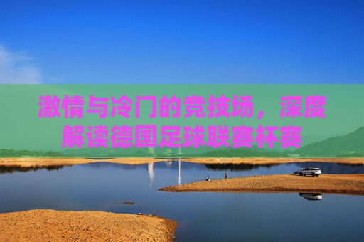 激情与冷门的竞技场，深度解读德国足球联赛杯赛